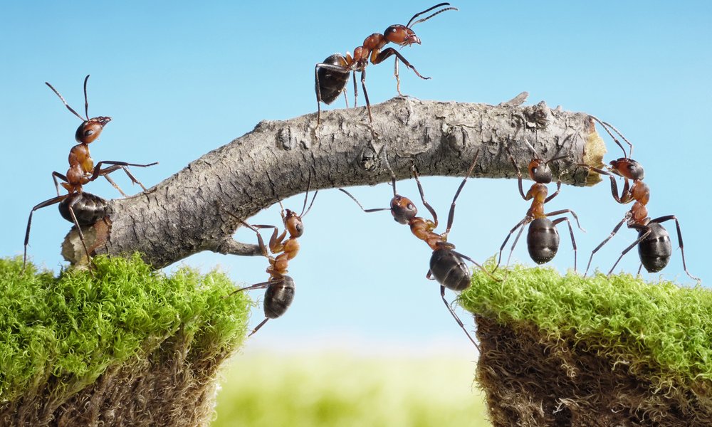 How to automate call center queries with context-aware, agentic AI