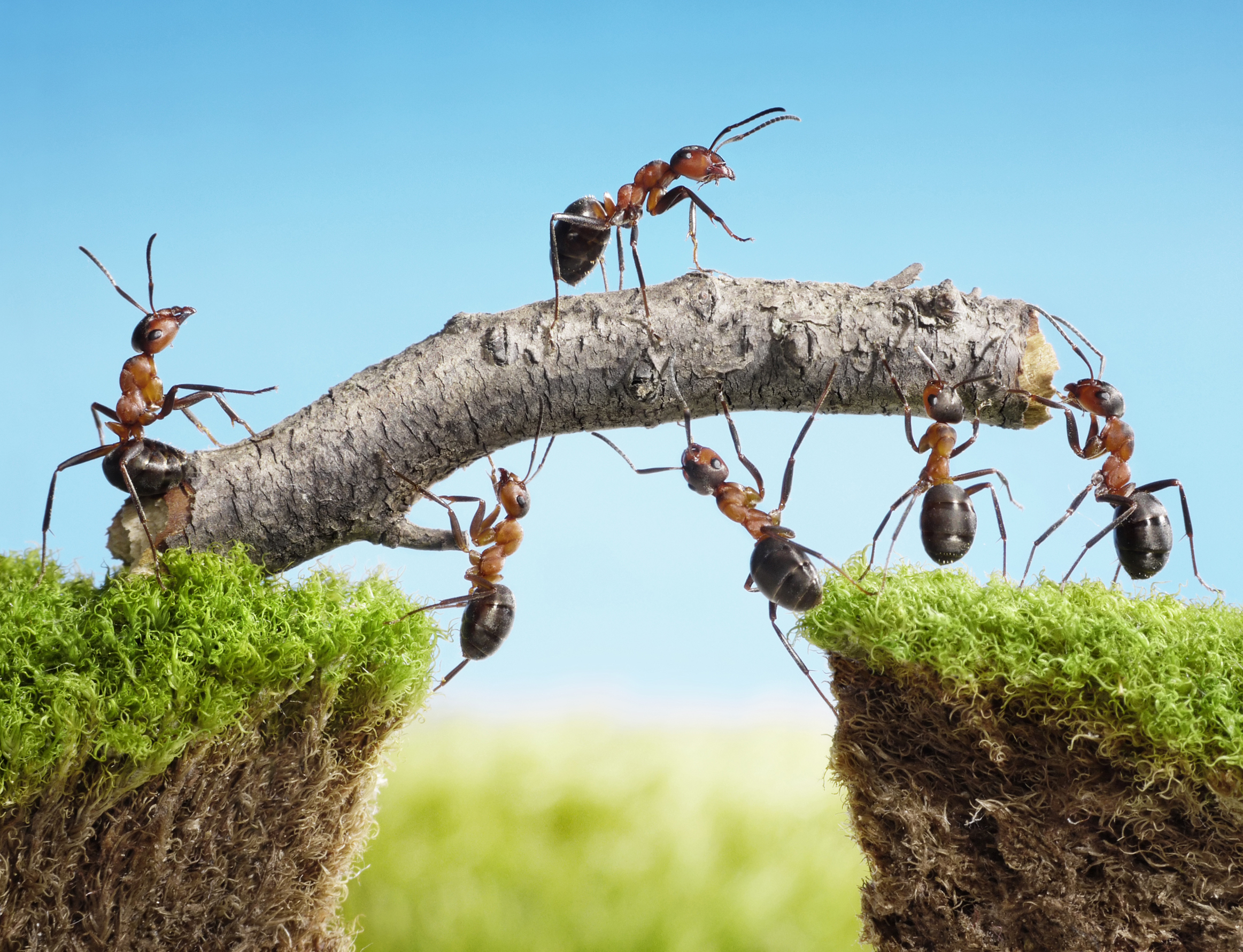 How to automate call center queries with context-aware, agentic AI