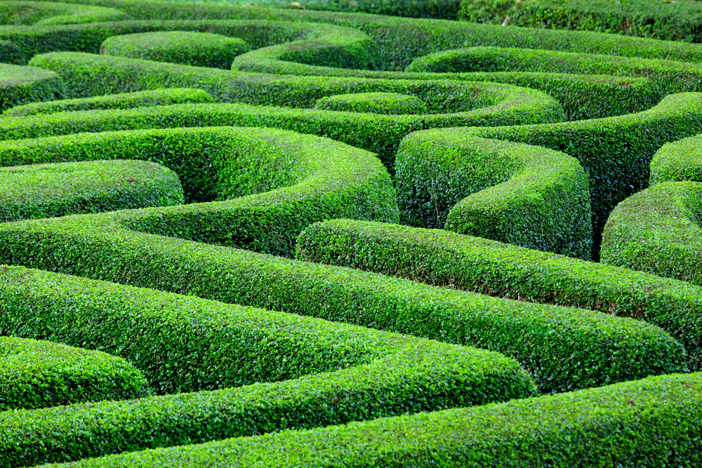 Navigating the AI hype maze: where will telcos actually find growth?